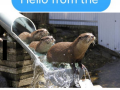 16996438_1173532712758647_8419215331819276553_n.png
